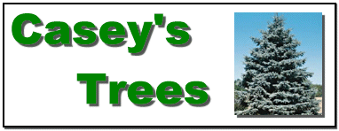 Casey's Trees